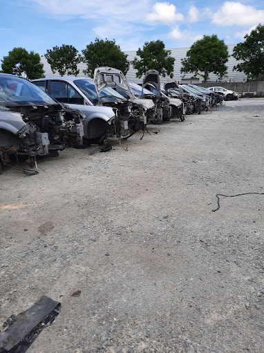 Aperçu des activités de la casse automobile MARIO RICHIERO située à GONFREVILLE L'ORCHER (76700)